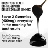 HIMALAYAN SHILAJIT GUMMIES - CLASSIC