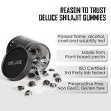 HIMALAYAN SHILAJIT GUMMIES - CLASSIC